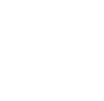 Light LOGO MMC